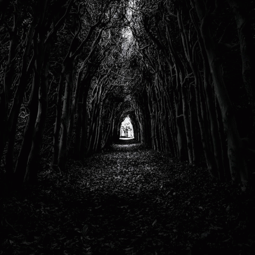 Enslaved Angel : Cutthroat